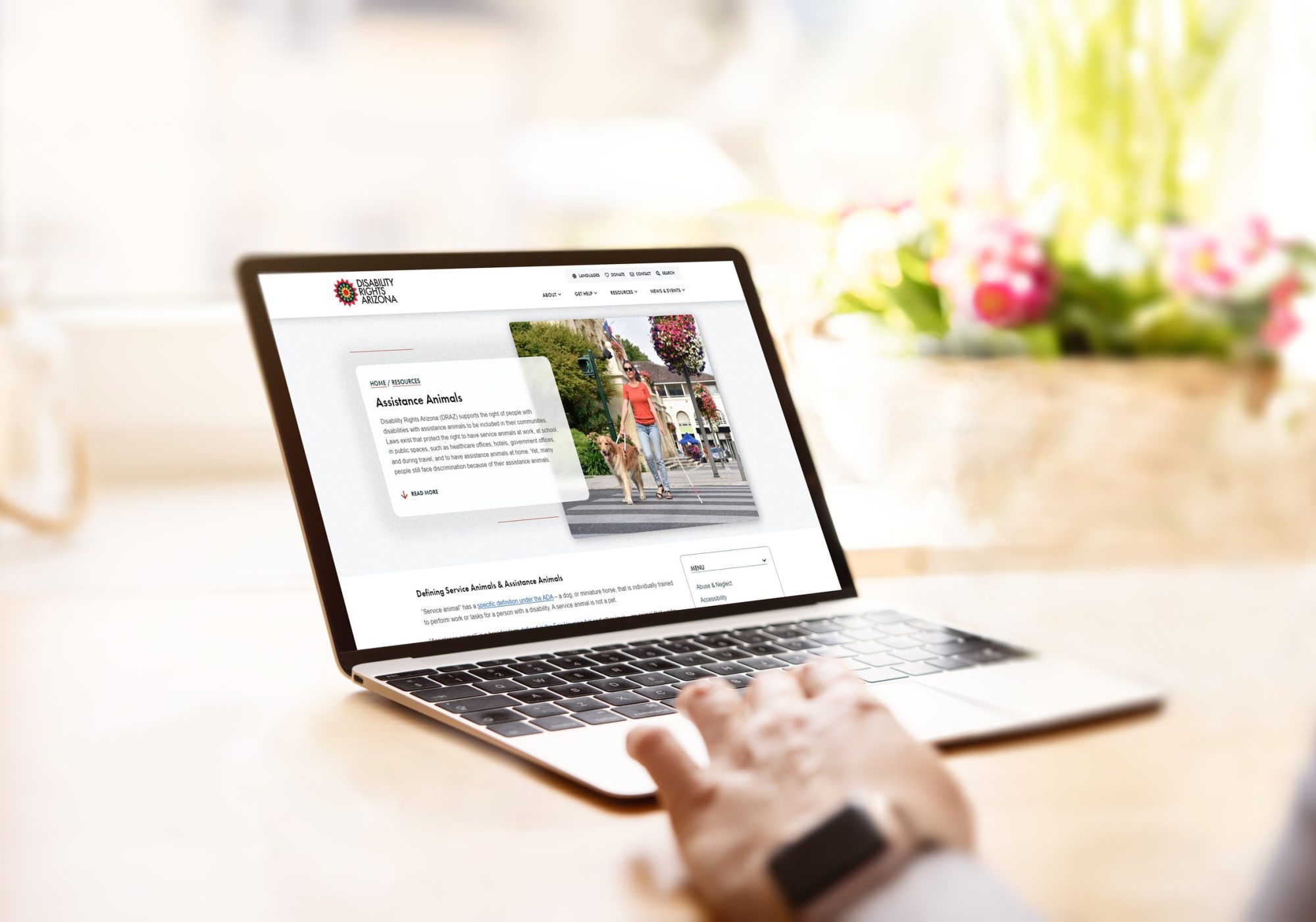 Website Design Services for Disability Rights Arizona: A man viewing the newly designed DRAZ animals page on his laptop